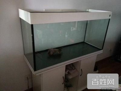 搬家公司搬魚缸嗎：天津福盛搬家公司提供專業搬魚缸的專業服務需要遵守
