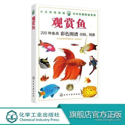 觀賞魚類鑒賞與飼養視頻（30篇觀賞魚類鑒賞與飼養技巧觀賞魚飼養技巧）