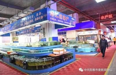 廣州水族批發市場在哪里進貨（廣州水族批發市場）