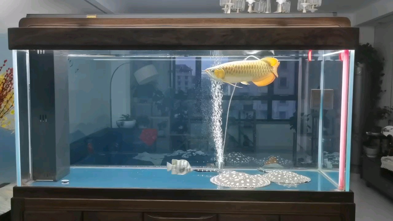創寧水泵故障代碼E07(創寧水泵故障代碼Err)