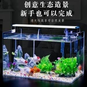 白子過背金龍魚圖片大全大圖(金頭過背金龍魚圖片)