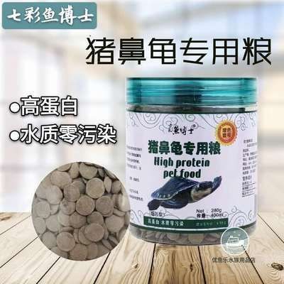 豬鼻龜長(zhǎng)到多大喂下沉飼料：豬鼻龜喂多少合適 豬鼻龜長(zhǎng)到多大喂下沉飼料：豬鼻龜喂多少合適 豬鼻龜百科 第3張