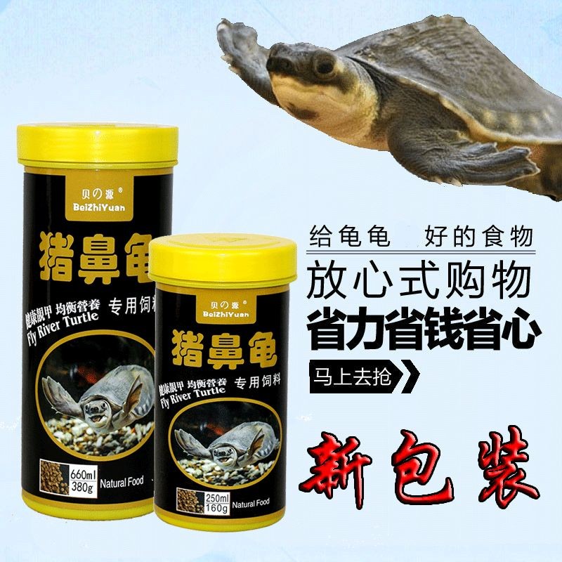 豬鼻龜長(zhǎng)到多大喂下沉飼料：豬鼻龜喂多少合適 豬鼻龜長(zhǎng)到多大喂下沉飼料：豬鼻龜喂多少合適 豬鼻龜百科 第5張