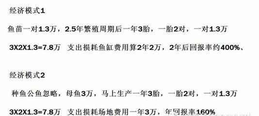 魟魚生產周期是多久啊：魟魚生產周期是多久