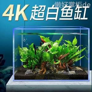 斗魚缸造景大賽官網(wǎng)：關(guān)于斗魚缸造景大賽官網(wǎng)的信息
