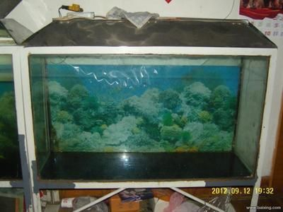 1米2魚缸圖片和價格：1米2的魚缸圖片和價格