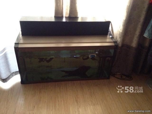 1米2魚缸圖片和價格：1米2的魚缸圖片和價格