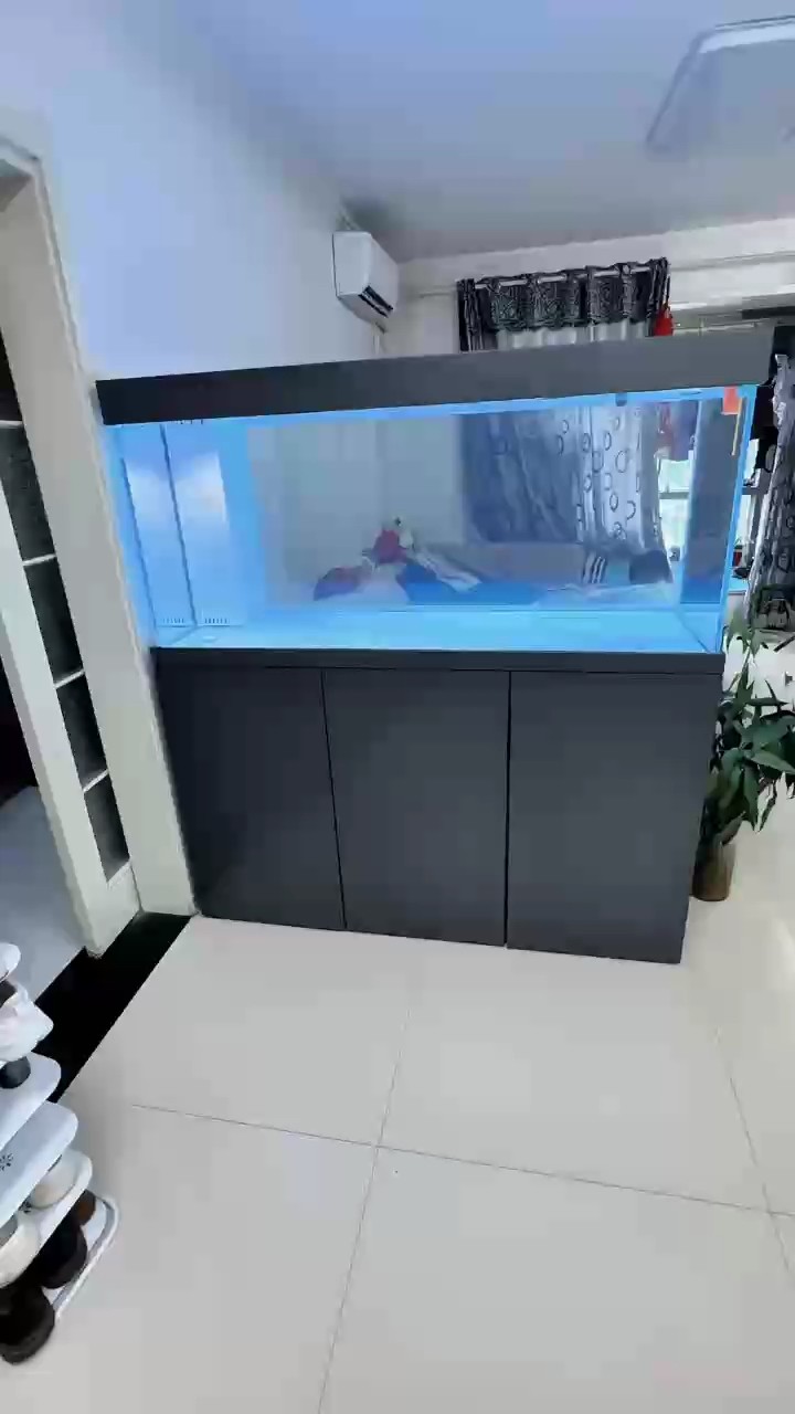 這下不怕游不開了，豪宅回來了! 這下不怕游不開了，豪宅回來了! 龍魚論壇