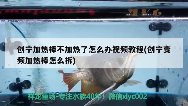 創寧加熱棒不加熱了怎么辦視頻教程(創寧變頻加熱棒怎么拆)