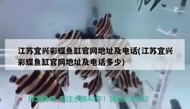 龍魚用頂燈好還是側燈好，金龍魚用頂燈好還是側燈好，龍魚用頂燈好還是側燈好 龍魚用頂燈好還是側燈好，金龍魚用頂燈好還是側燈好，龍魚用頂燈好還是側燈好 iwish愛唯希品牌魚缸 第3張