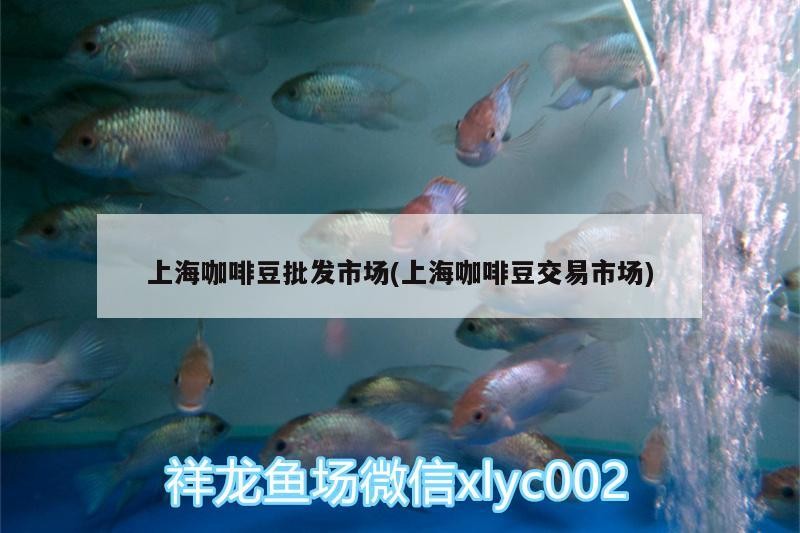 上海咖啡豆批發(fā)市場(上海咖啡豆交易市場)
