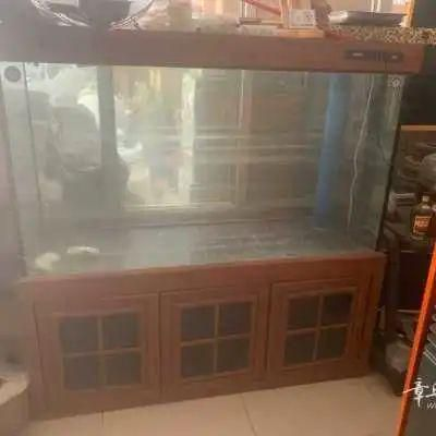 單縣二手魚缸出售：單縣地區有多家店鋪和個人出售二手魚缸
