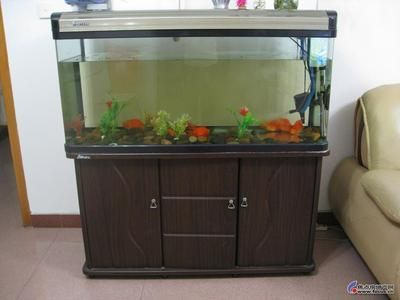 單縣二手魚缸出售：單縣地區有多家店鋪和個人出售二手魚缸