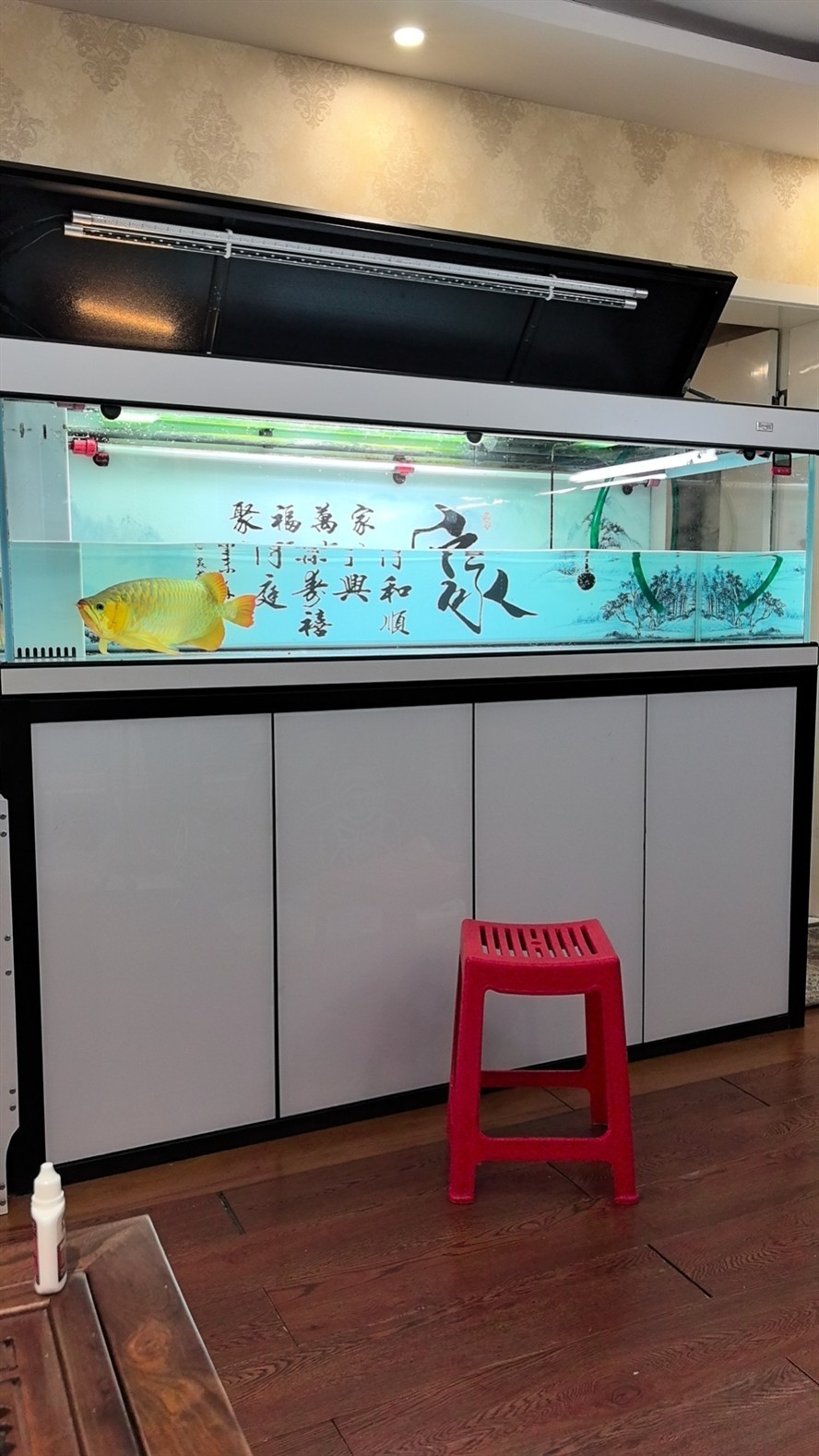 三分之一水下麻藥倒缸