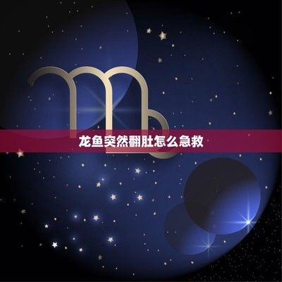 龍魚噎住了怎么辦vs祥龍魚場：龍魚噎住了怎么辦