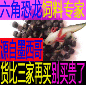 龍魚五大品牌魚缸有哪些vs祥龍魚場：2024年最好的龍魚缸品牌排行榜