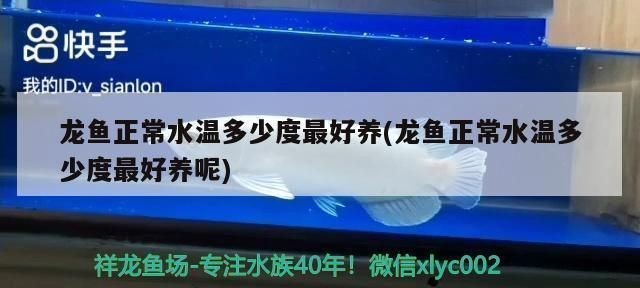 龍魚正常水溫多少度vs祥龍魚場：祥龍魚場的龍魚品種介紹