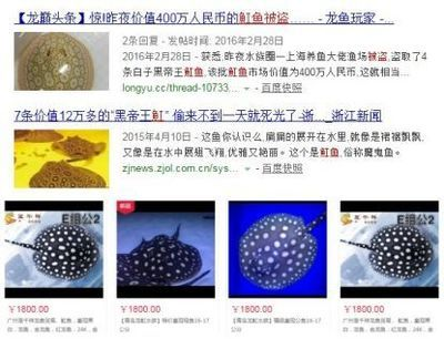 ：突然發覺魚的下顎紅了…請忽略這么臟的缸…，突然發覺魚的下顎紅了…