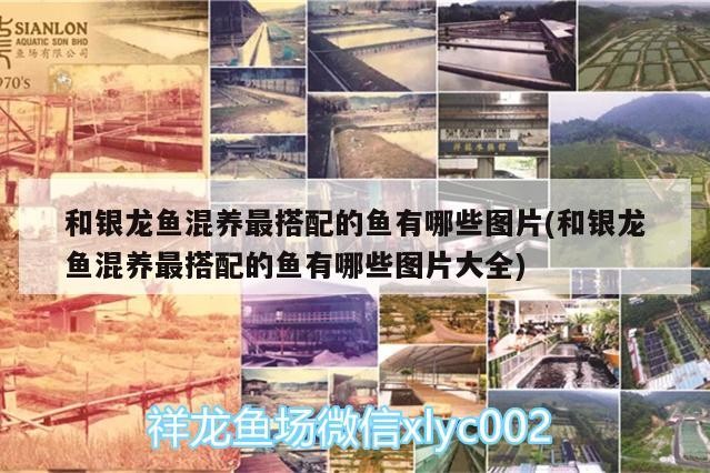 遂寧哪里有賣魚缸的實體店啊圖片視頻（遂寧水族批發市場）