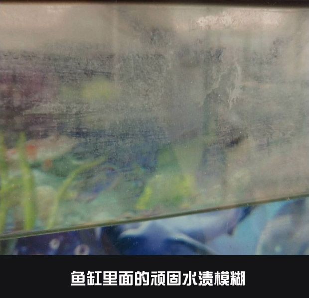 玻璃魚缸有劃痕怎么修復好:玻璃魚缸出現劃痕時,修復方法取決于劃痕大小和深度 魚缸百科 第1張 玻璃魚缸有劃痕怎么修復好:玻璃魚缸出現劃痕時,修復方法取決于劃痕大小和深度 玻璃魚缸有劃痕怎么修復好:玻璃魚缸出現劃痕時,修復方法取決于劃痕大小和深度 魚缸百科 第1張