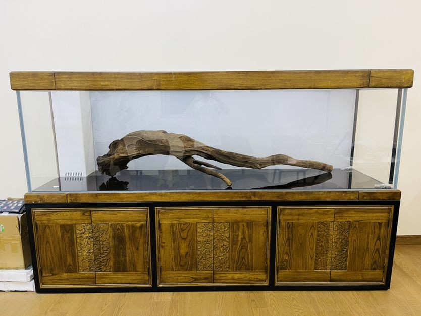 養(yǎng)虎魚放沉木有好處嗎：養(yǎng)虎魚放沉木有什么好處？ 養(yǎng)虎魚放沉木有好處嗎：養(yǎng)虎魚放沉木有什么好處？ 虎魚百科 第3張