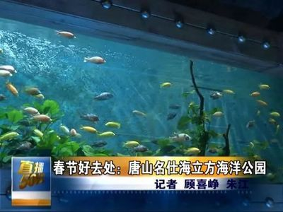 唐山水族館vs祥龍魚場（唐山水族館和祥龍魚場哪個好） 唐山水族館vs祥龍魚場（唐山水族館和祥龍魚場哪個好） 全國水族館企業(yè)名錄 第4張