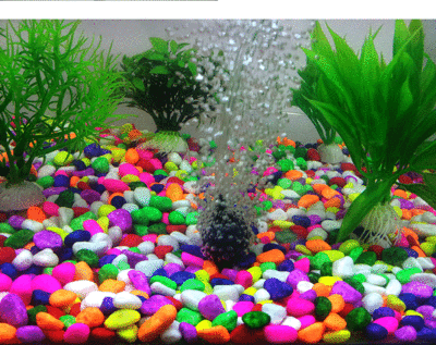 鵝卵石diy魚缸造景：鵝卵石diy魚缸造景建議和技巧和技巧 鵝卵石diy魚缸造景：鵝卵石diy魚缸造景建議和技巧和技巧 魚缸百科 第1張