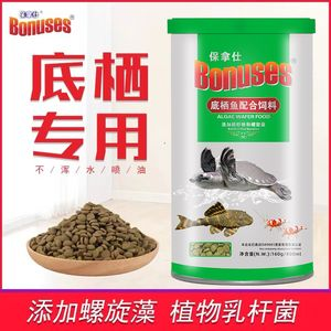 豬鼻龜招財嗎圖片：豬鼻龜在文化上被認為能夠帶來財運和吉祥物轉運旺財