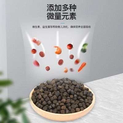 豬鼻龜招財嗎圖片：豬鼻龜在文化上被認為能夠帶來財運和吉祥物轉運旺財