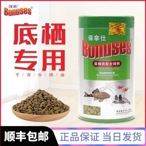 豬鼻龜招財(cái)嗎圖片：豬鼻龜在文化上被認(rèn)為能夠帶來(lái)財(cái)運(yùn)和吉祥物轉(zhuǎn)運(yùn)旺財(cái)
