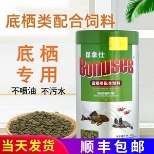 豬鼻龜招財(cái)嗎圖片：豬鼻龜在文化上被認(rèn)為能夠帶來(lái)財(cái)運(yùn)和吉祥物轉(zhuǎn)運(yùn)旺財(cái)