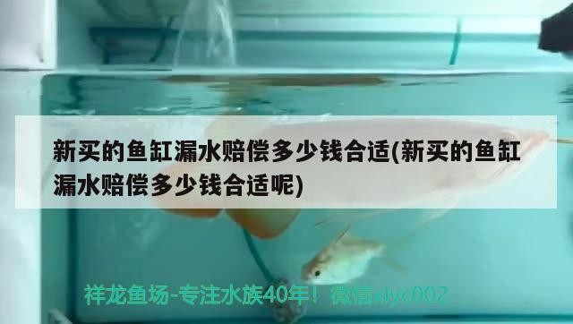 新買的魚缸漏水賠償多少錢合適(新買的魚缸漏水賠償多少錢合適呢)