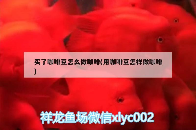 買了咖啡豆怎么做咖啡(用咖啡豆怎樣做咖啡)
