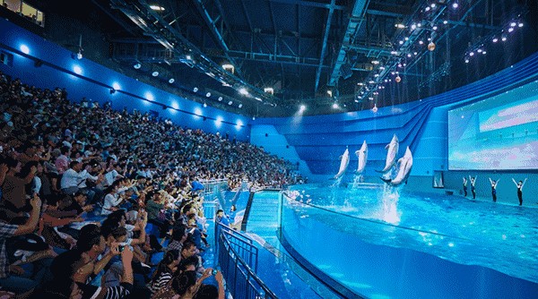 商丘水族館vs祥龍魚場（中國河南商丘水族館祥龍魚場在中國和馬來西亞均有業務）