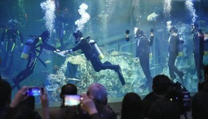 漯河水族館vs祥龍魚場（對比漯河水族館和祥龍魚場的相關信息）