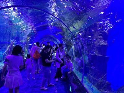 漯河水族館vs祥龍魚(yú)場(chǎng)（對(duì)比漯河水族館和祥龍魚(yú)場(chǎng)的相關(guān)信息）