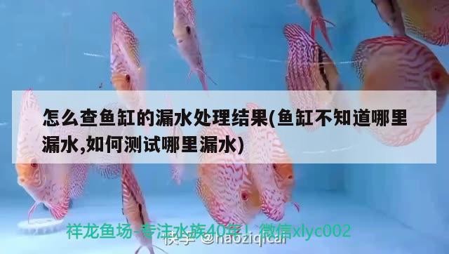 怎么查魚缸的漏水處理結(jié)果(魚缸不知道哪里漏水,如何測(cè)試哪里漏水)
