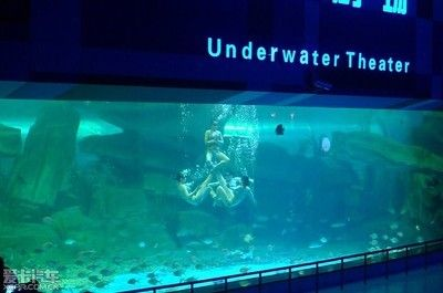 泰安水族館vs祥龍魚場（泰安水族館與祥龍魚場各有側重）