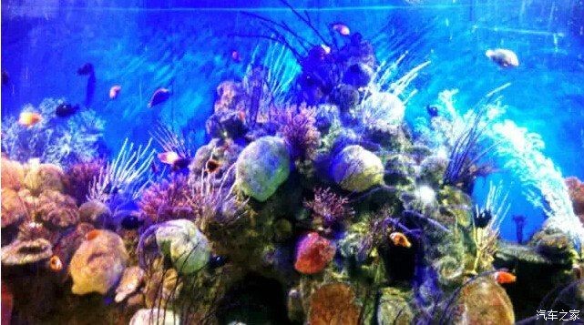 三門(mén)峽水族館vs祥龍魚(yú)場(chǎng)（三門(mén)峽水族館與祥龍魚(yú)場(chǎng)有什么區(qū)別？）