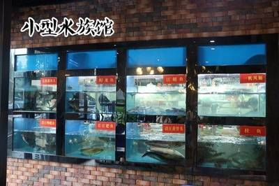 宜昌水族館vs祥龍魚場(宜昌水族館和祥龍魚場是一家集觀賞、科普、休閑、娛樂為一體的水族館) 全國水族館企業名錄 第3張 宜昌水族館vs祥龍魚場(宜昌水族館和祥龍魚場是一家集觀賞、科普、休閑、娛樂為一體的水族館) 宜昌水族館vs祥龍魚場(宜昌水族館和祥龍魚場是一家集觀賞、科普、休閑、娛樂為一體的水族館) 全國水族館企業名錄 第3張