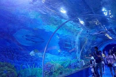 宜昌水族館vs祥龍魚場(宜昌水族館和祥龍魚場是一家集觀賞、科普、休閑、娛樂為一體的水族館) 全國水族館企業名錄 第4張 宜昌水族館vs祥龍魚場(宜昌水族館和祥龍魚場是一家集觀賞、科普、休閑、娛樂為一體的水族館) 宜昌水族館vs祥龍魚場(宜昌水族館和祥龍魚場是一家集觀賞、科普、休閑、娛樂為一體的水族館) 全國水族館企業名錄 第4張