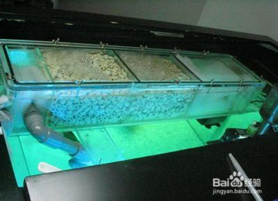 玻璃魚(yú)缸漏水用什么膠：熱門(mén)魚(yú)缸膠品牌排行榜瓦克、快事達(dá)、奧斯邦(ausbond)