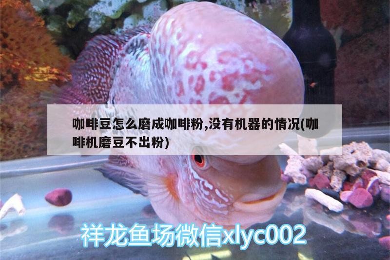 咖啡豆怎么磨成咖啡粉,沒有機器的情況(咖啡機磨豆不出粉) 咖啡豆怎么磨成咖啡粉,沒有機器的情況(咖啡機磨豆不出粉) 馬來西亞咖啡