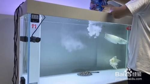 200升的魚(yú)缸加多少鹽：200升魚(yú)缸需要多少鹽