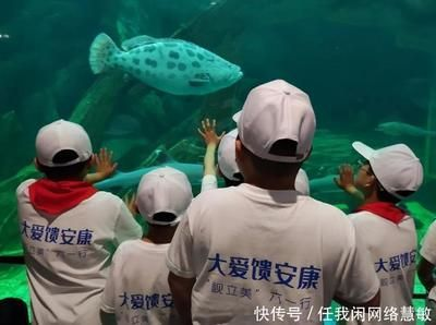 安康水族館vs祥龍魚場(chǎng)（安康水族館與祥龍魚場(chǎng)之間的差異之前，我們需要明確基本信息和特點(diǎn)）