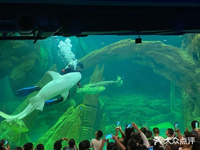 安康水族館vs祥龍魚場(chǎng)（安康水族館與祥龍魚場(chǎng)之間的差異之前，我們需要明確基本信息和特點(diǎn)）