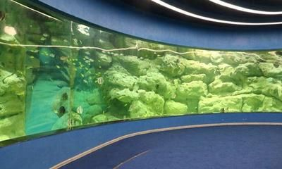 安康水族館vs祥龍魚場(chǎng)（安康水族館與祥龍魚場(chǎng)之間的差異之前，我們需要明確基本信息和特點(diǎn)）