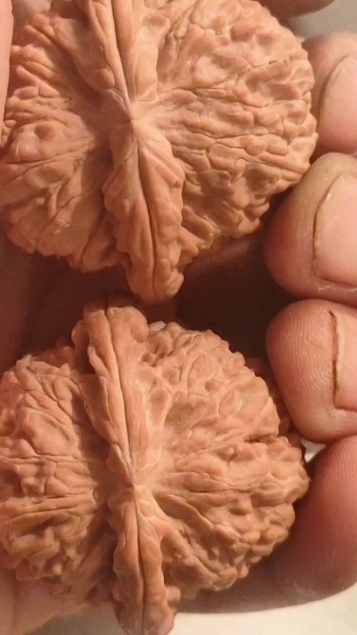 頭貨45球白