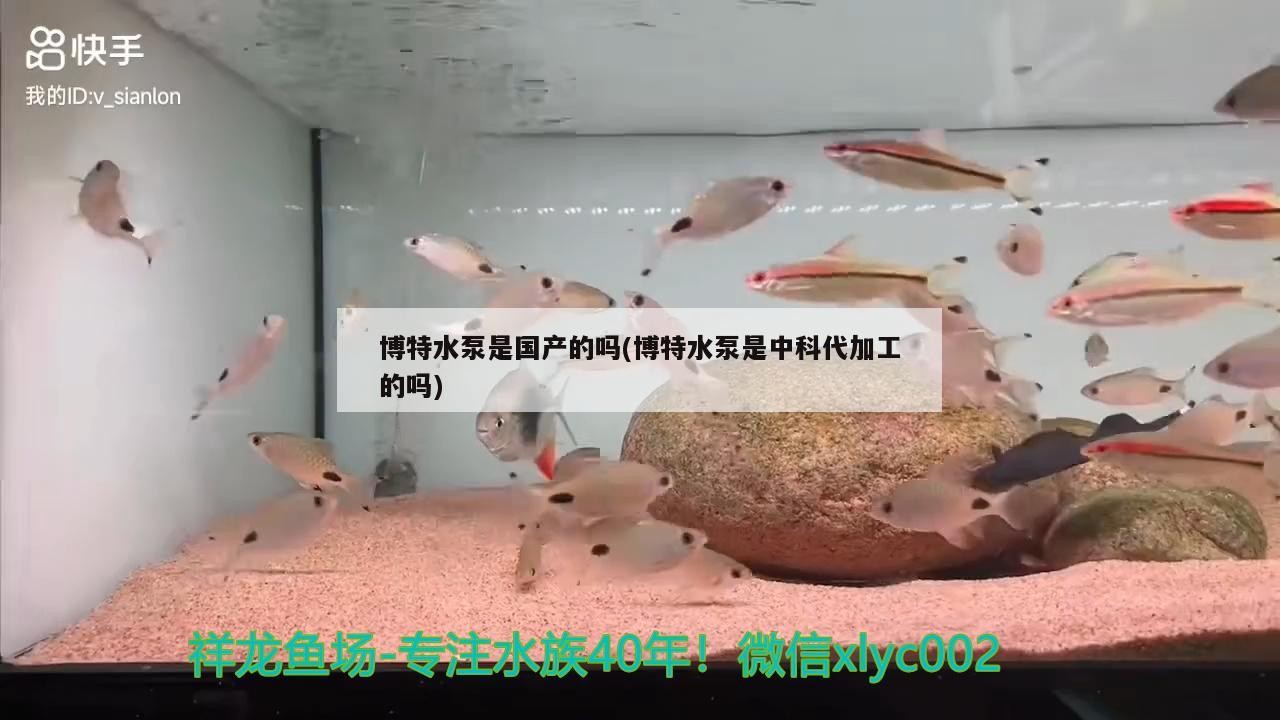 博特水泵是國產(chǎn)的嗎(博特水泵是中科代加工的嗎)