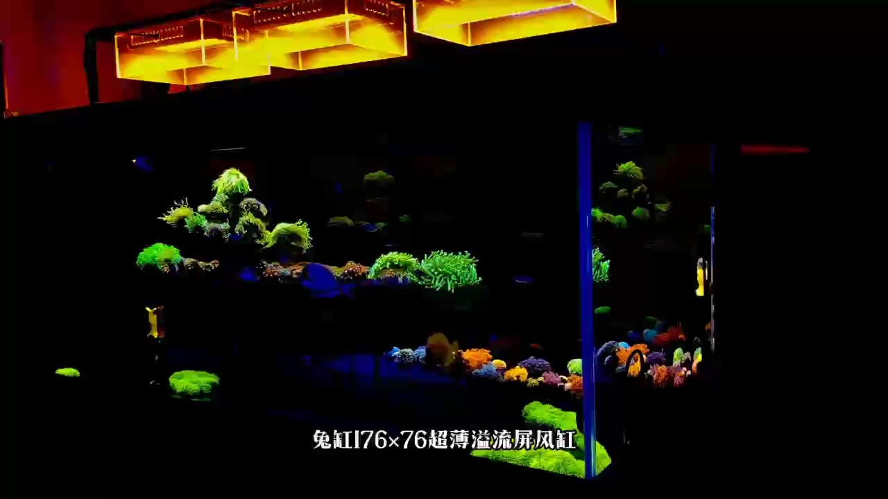 兔巴何龍魚工坊超薄溢流屏風缸